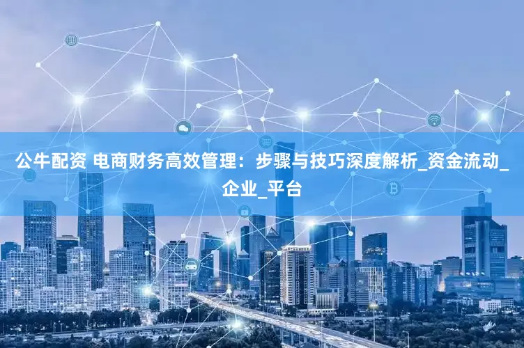 公牛配资 电商财务高效管理：步骤与技巧深度解析_资金流动_企业_平台