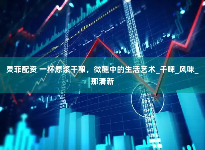 灵菲配资 一杯原浆干酿，微醺中的生活艺术_干啤_风味_那清新