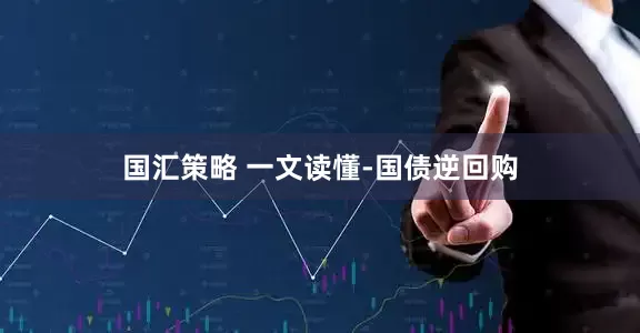 国汇策略 一文读懂-国债逆回购