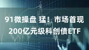 91微操盘 猛！市场首现200亿元级科创债ETF