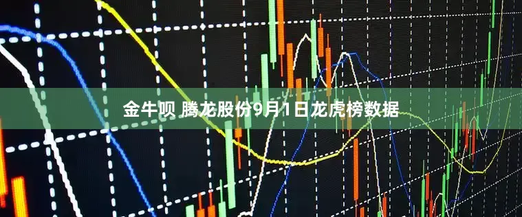 金牛呗 腾龙股份9月1日龙虎榜数据