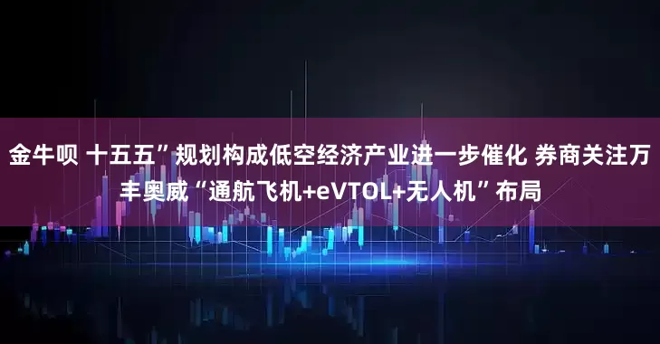 金牛呗 十五五”规划构成低空经济产业进一步催化 券商关注万丰奥威“通航飞机+eVTOL+无人机”布局