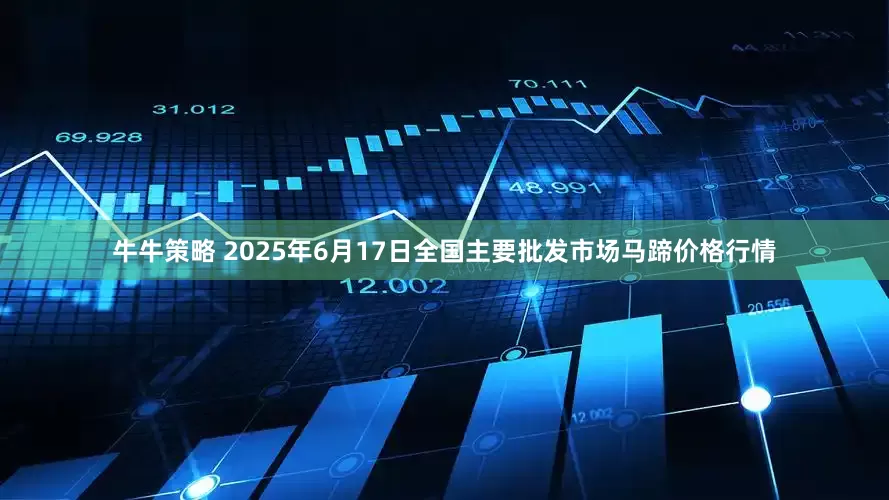 牛牛策略 2025年6月17日全国主要批发市场马蹄价格行情